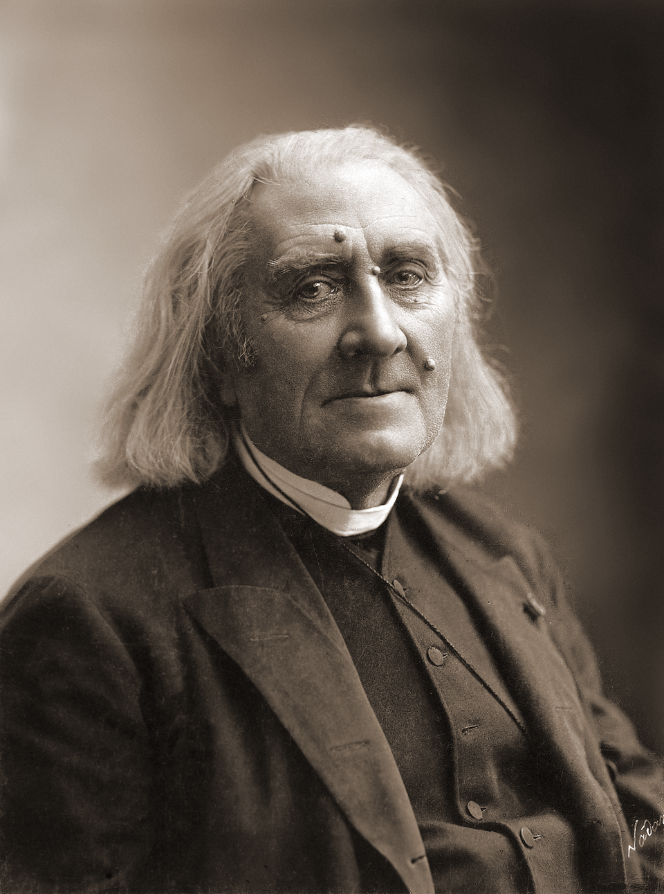 Portrait of Franz Liszt